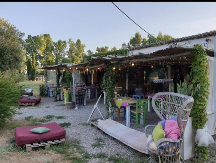 Il Piccolo Borgo Apartman Montalto di Castro Kültér fotó