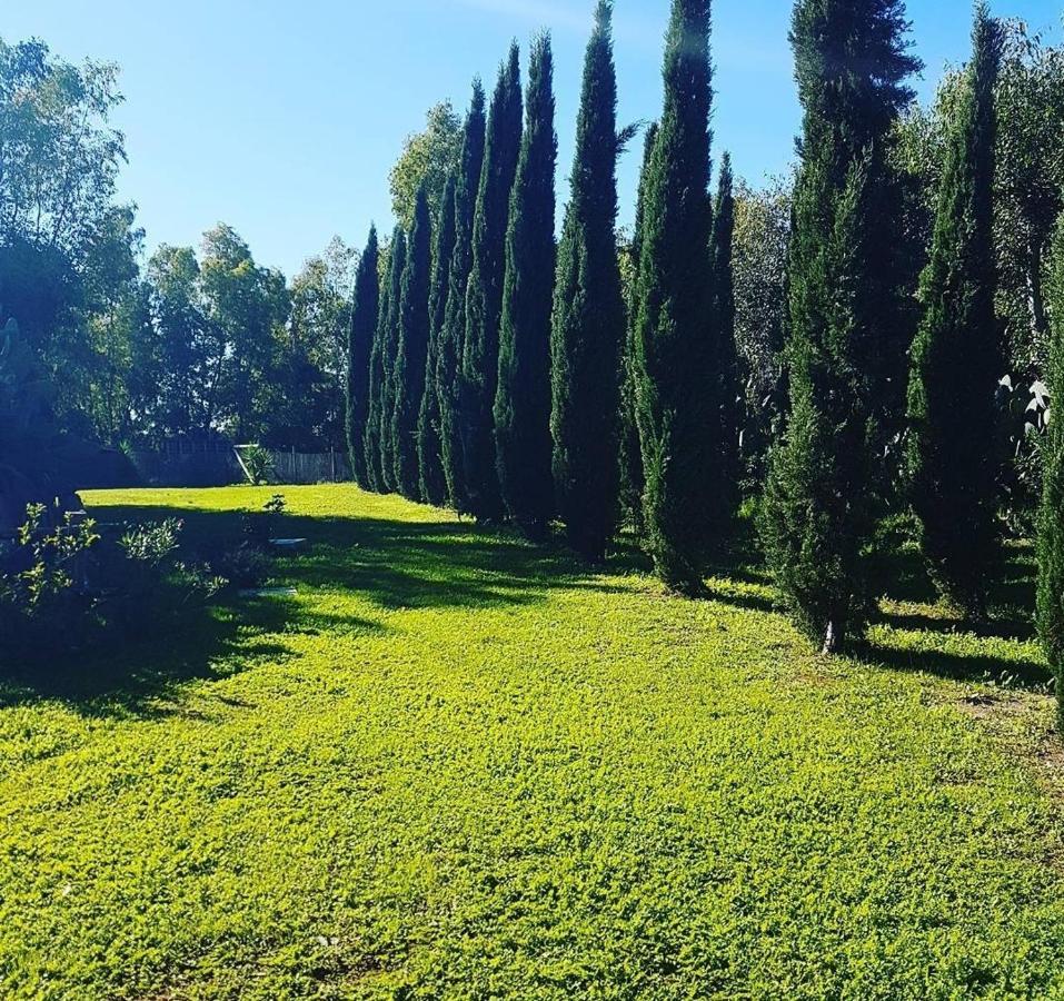 Il Piccolo Borgo Apartman Montalto di Castro Kültér fotó