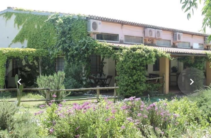 Il Piccolo Borgo Apartman Montalto di Castro Kültér fotó