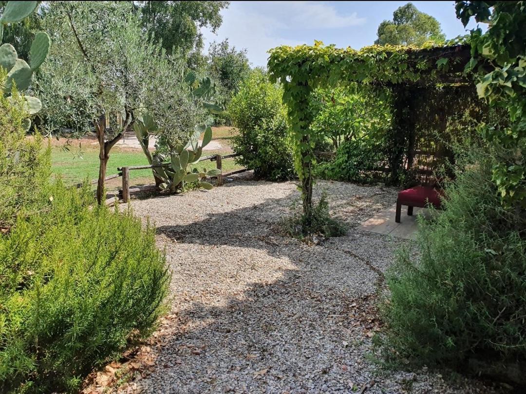 Il Piccolo Borgo Apartman Montalto di Castro Kültér fotó