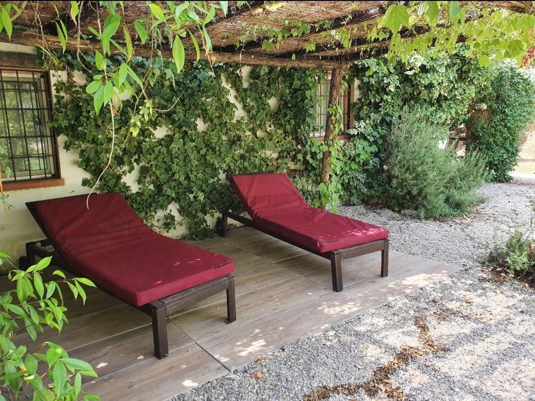 Il Piccolo Borgo Apartman Montalto di Castro Kültér fotó